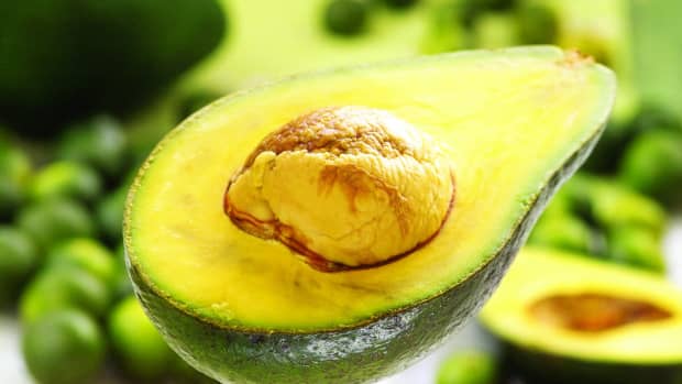 new-gardeners-guide-to-growing-avocados