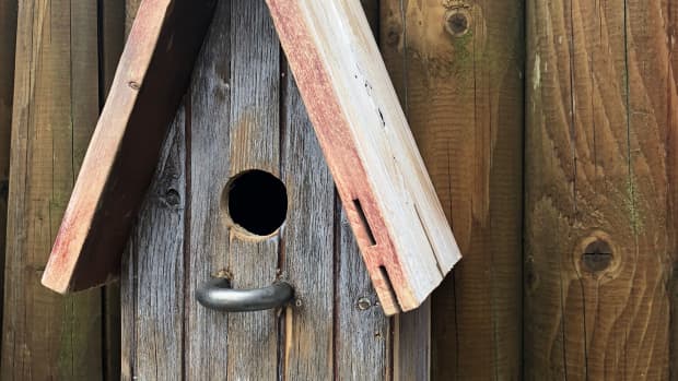 easy-ways-for-you-to-look-like-a-genius-of-a-birdhouse-builder