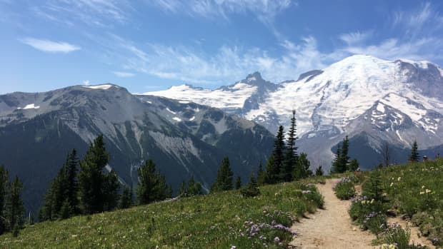 Hiking trail near Mt. Rainier, WA