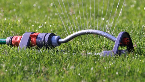 how-to-save-money-on-watering-lawn