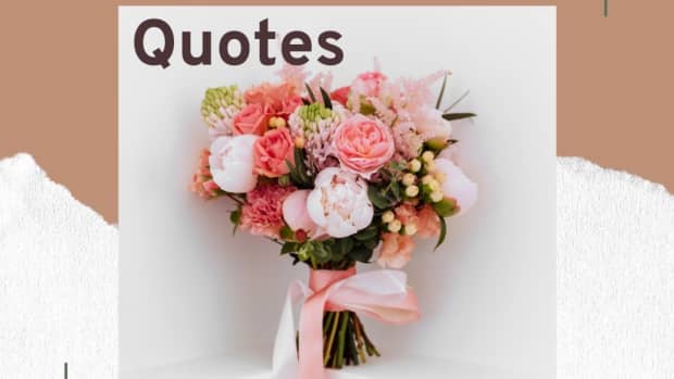 shakespeare-quotes-flowers-bouquets