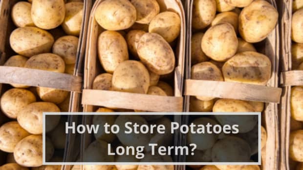 how-to-store-potatoes-long-term