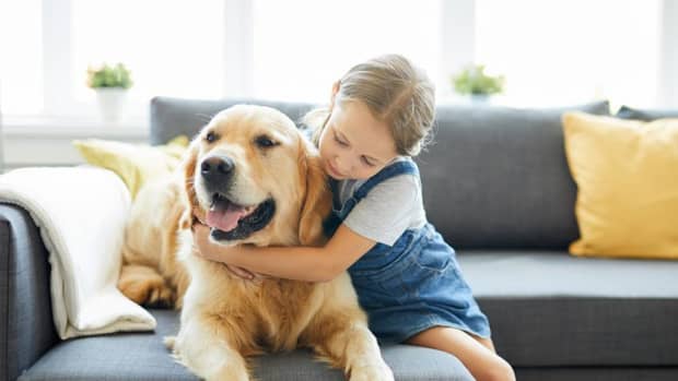 5-best-dog-breeds-for-children