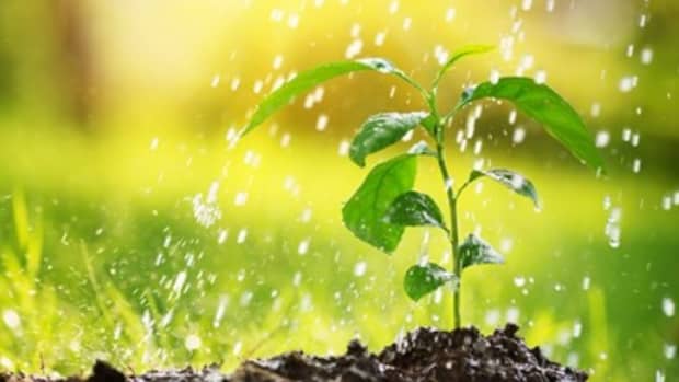 rains-are-needed-for-growth-too