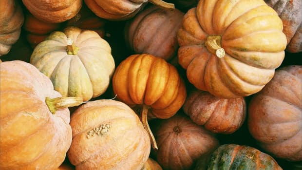 five-of-the-best-things-about-autumn