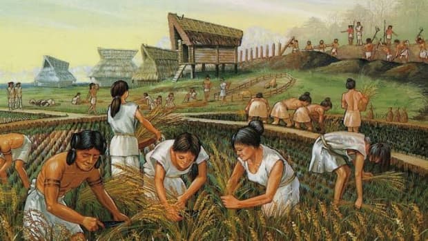 what-was-the-neolithic-agricultural-revolution