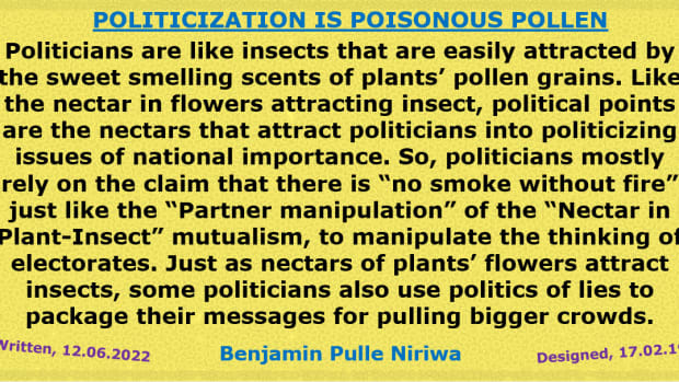 political-politicization-poisonous-pollen-pulling-politicians-for-political-points-problematic