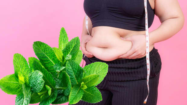 green-tea-is-a-wondrous-plant-in-weight-loss