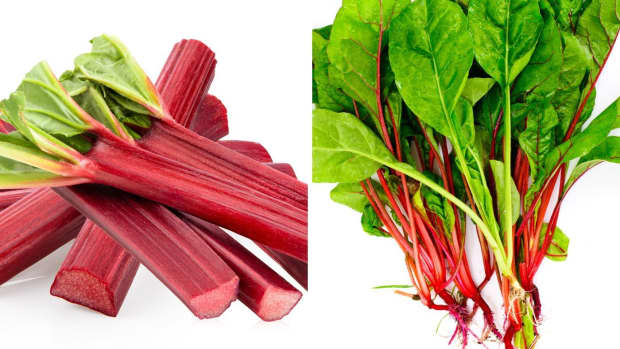 is-swiss-chard-the-same-as-rhubarb