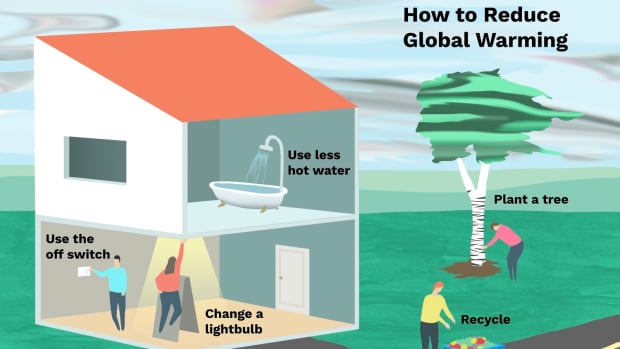 how-to-reduce-the-effects-of-global-warming