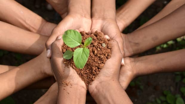 10-powerful-ways-to-not-destroy-the-earth-and-promote-planetary-health