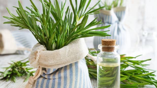 9-amazing-ways-to-use-rosemary-for-health-nutrition-and-beauty
