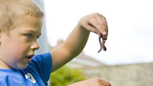 boy holding worm