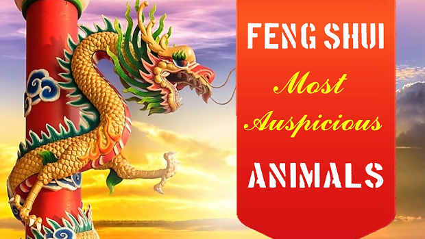 11-feng-shui-animals-that-bring-good-luck