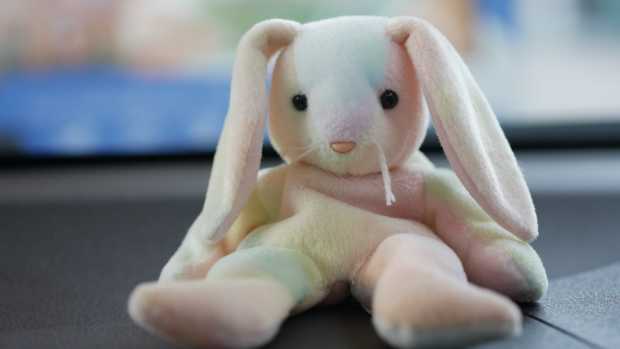 toy stuffed bunny