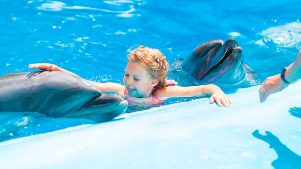 girl swimming with dolphin