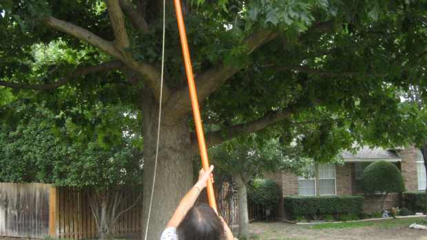 fiskars-power-lever-tree-pruner