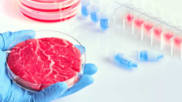 stem-cell-meat-the-novel-meat