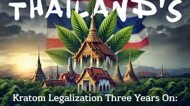 thailands-kratom-legalization-three-years-on-how-has-the-us-nootropics-scene-advanced