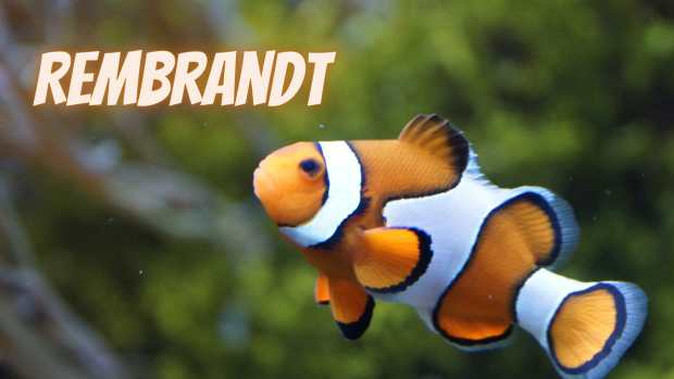 fish-name-ideas-inspired-by-famous-artists-and-their-works