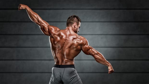 Opposing Muscle Groups Workout Routine for Massive Gains - CalorieBee