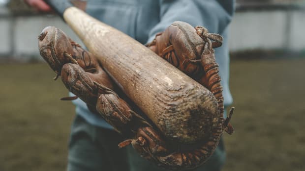 baseball bat and glove