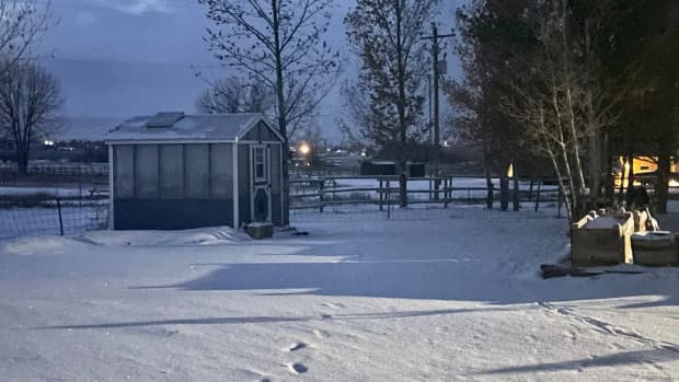 first-snow-of-the-season-in-cody-wyoming