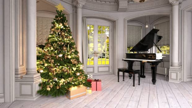best-types-of-trees-for-christmas