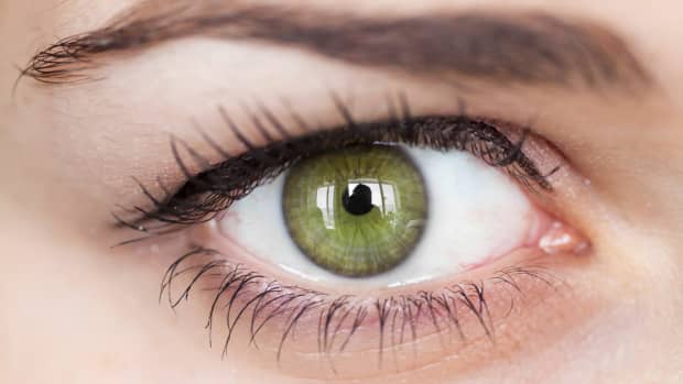 The Difference Between Green and Hazel Eyes - Owlcation