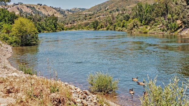 free-panning-gold-at-state-of-california-park