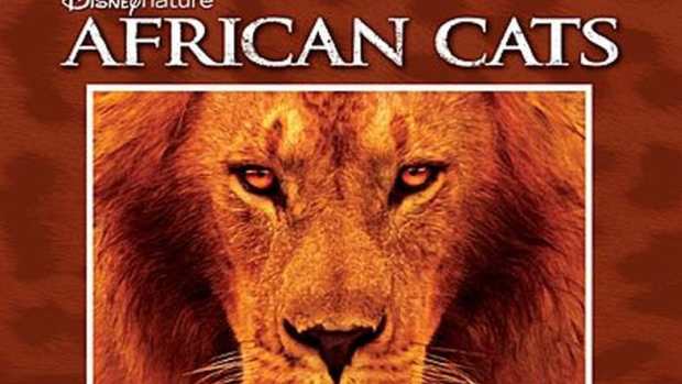 africancats