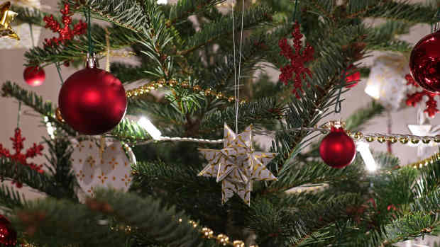 the-origin-and-tradition-of-christmas-trees-in-america
