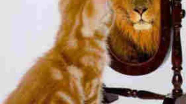 yahoo-demands-tax-preparer-commit-ethics-violation
