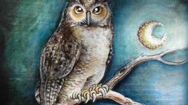 the-night-owl