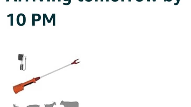 i-have-a-little-surprise-for-my-ram-if-i-ever-have-to-get-into-that-sheep-pen-again-lol