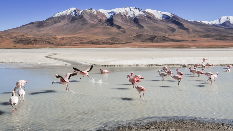 5 Unbelievable Things You Can Do in Bolivia