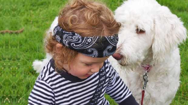 do-pets-prevent-asthma