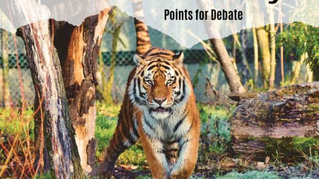 Pet Ownership - PetHelpful - By fellow animal lovers and experts