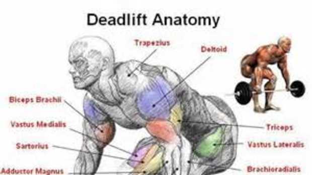 mastering-the-deadlift