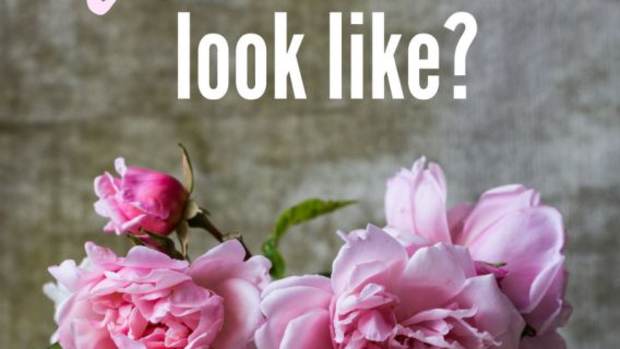 virginity-chastity-and-love