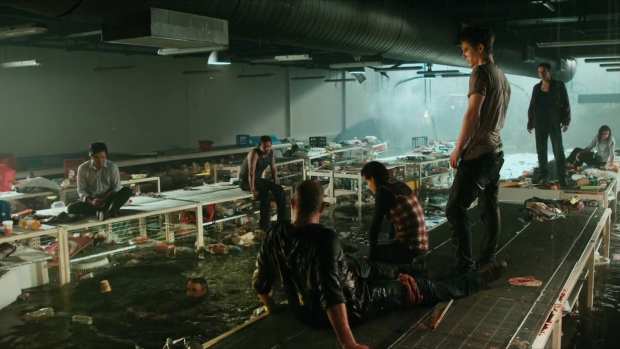 disaster-porn-saturday-night-bait