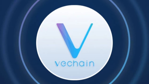 vechain-vet-explained