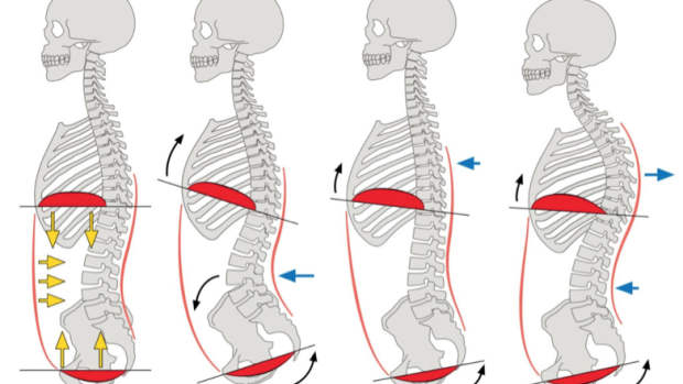5-things-you-must-know-about-when-you-start-lifting