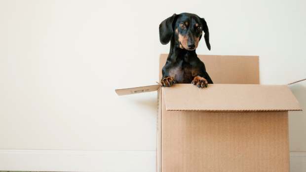overprotective-parents-and-moving-out