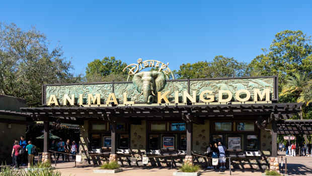 Travel Specialist Shares Details of Exclusive VIP Tour at 'Animal