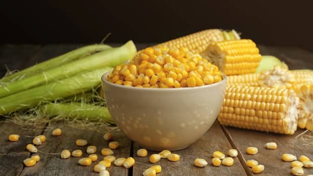 Bowl of corn kernels with corn on the cob in the background