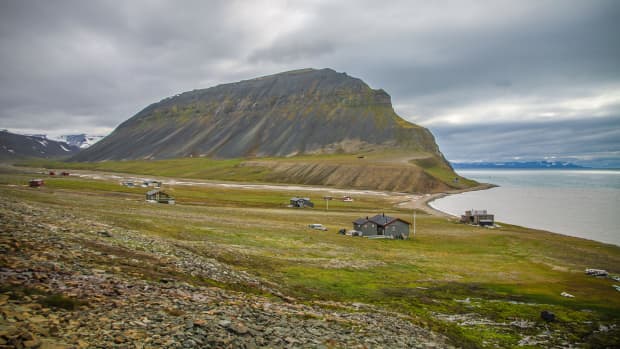 Svalbard Resident Spies a Dangerous Predator Hanging Out Near Her Cabin ...