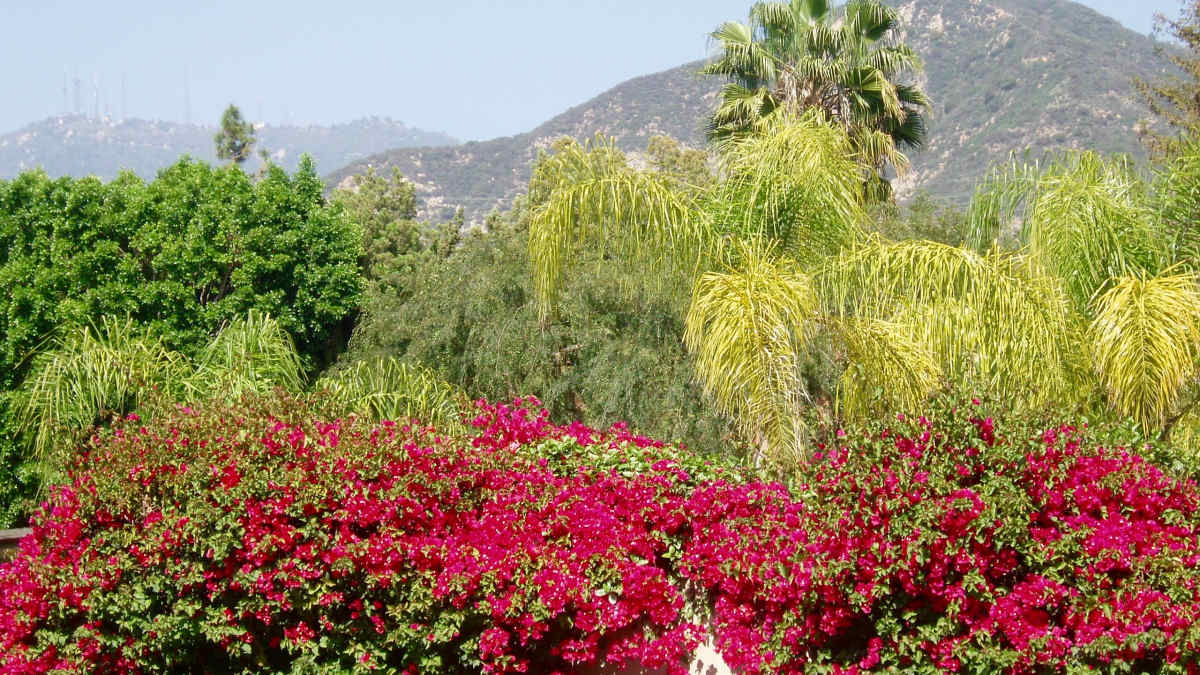 Landscape Design Ideas Styles And Themes Dengarden Home And Garden