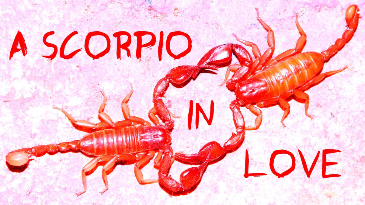 Love signs falling scorpio a is man in How Does