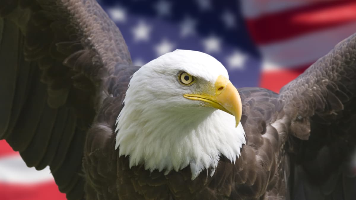 7 Indisputable Reasons the United States of America Is the Greatest Country  in the World